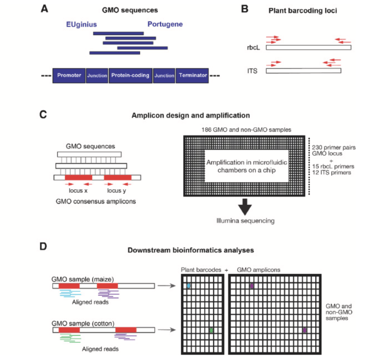 Detection of genetically modified organisms using highly multiplexed amplicon sequencing