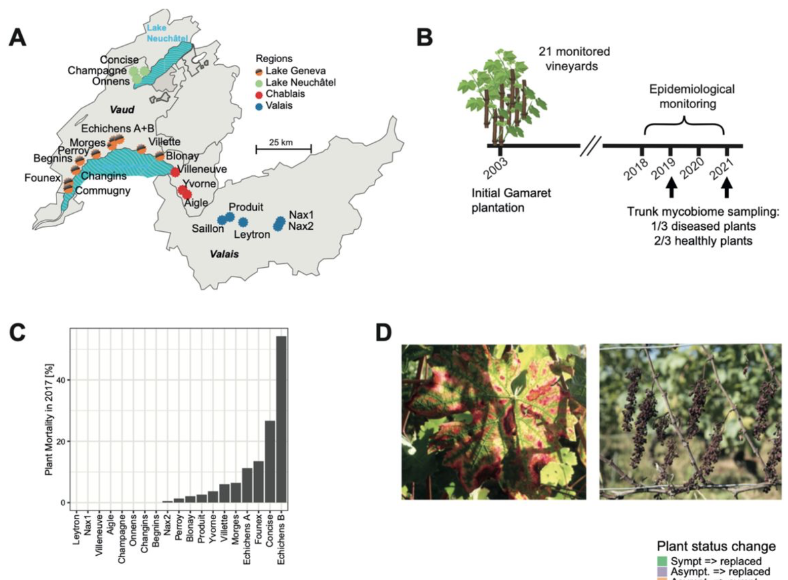 Landscape-scale endophytic community analyses in replicated grapevine stands reveal that dieback disease is unlikely to be caused by specific fungal communities