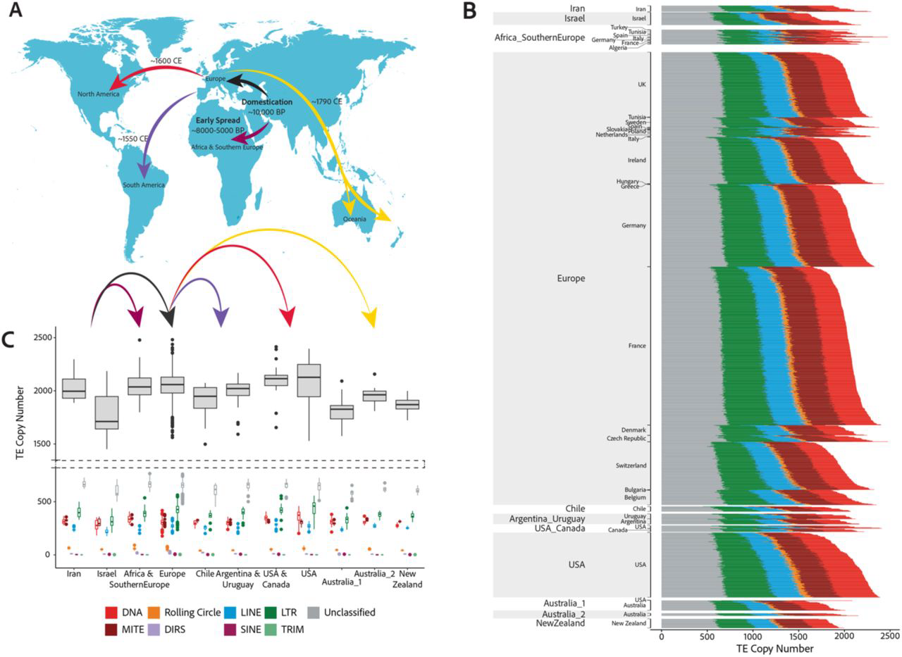 Historic transposon mobilisation waves create distinct pools of adaptive variants in a major crop pathogen