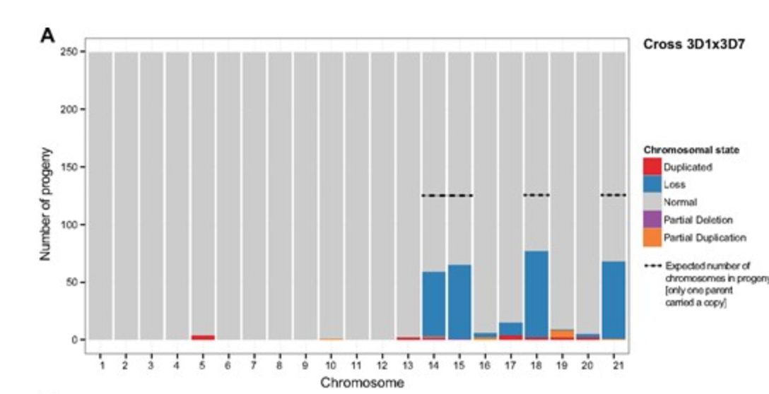 Meiosis Leads to Pervasive Copy-Number Variation and Distorted Inheritance of Accessory Chromosomes of the Wheat Pathogen Zymoseptoria tritici