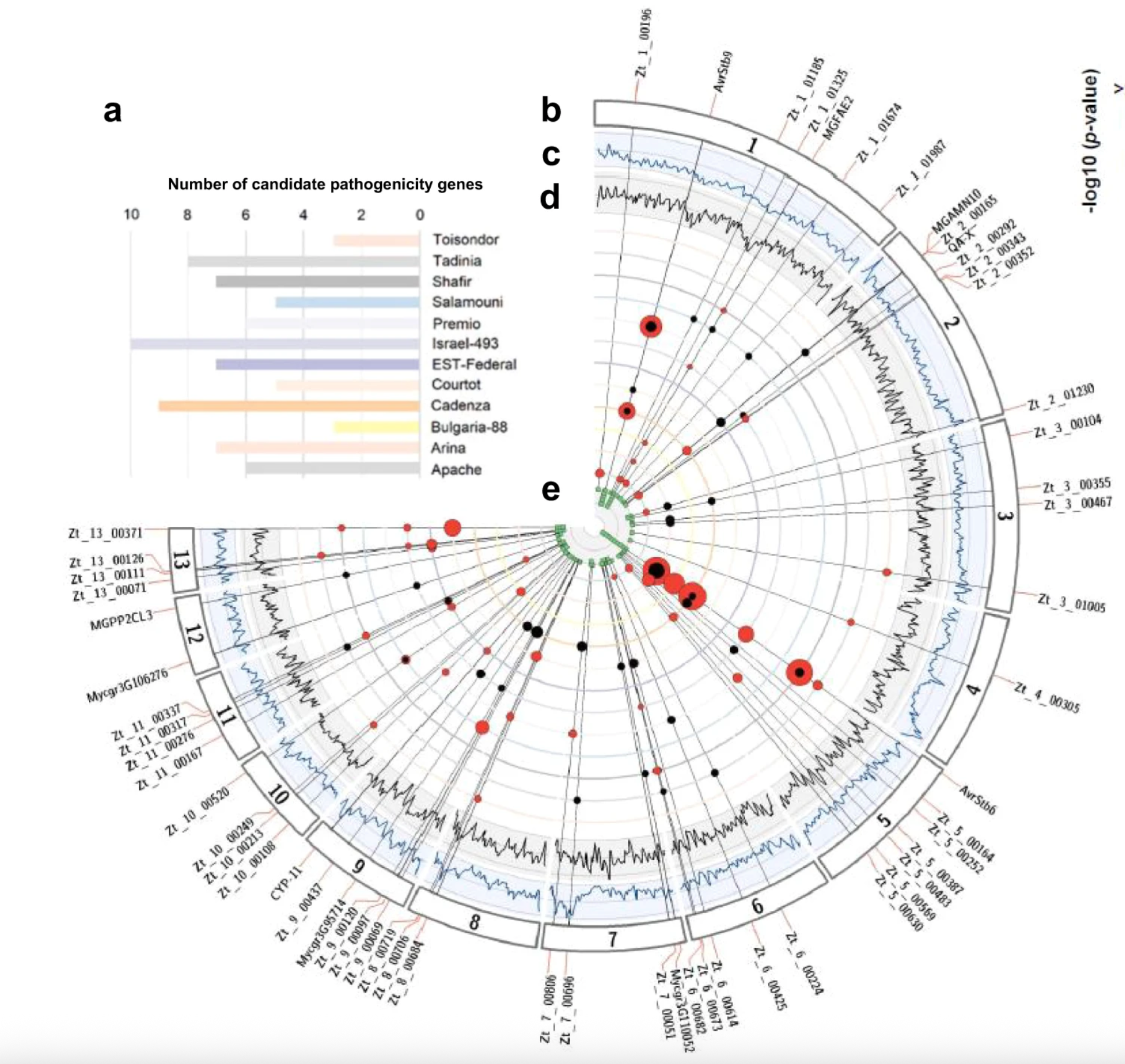 Quantitative pathogenicity and host adaptation in a fungal plant pathogen revealed by whole-genome sequencing