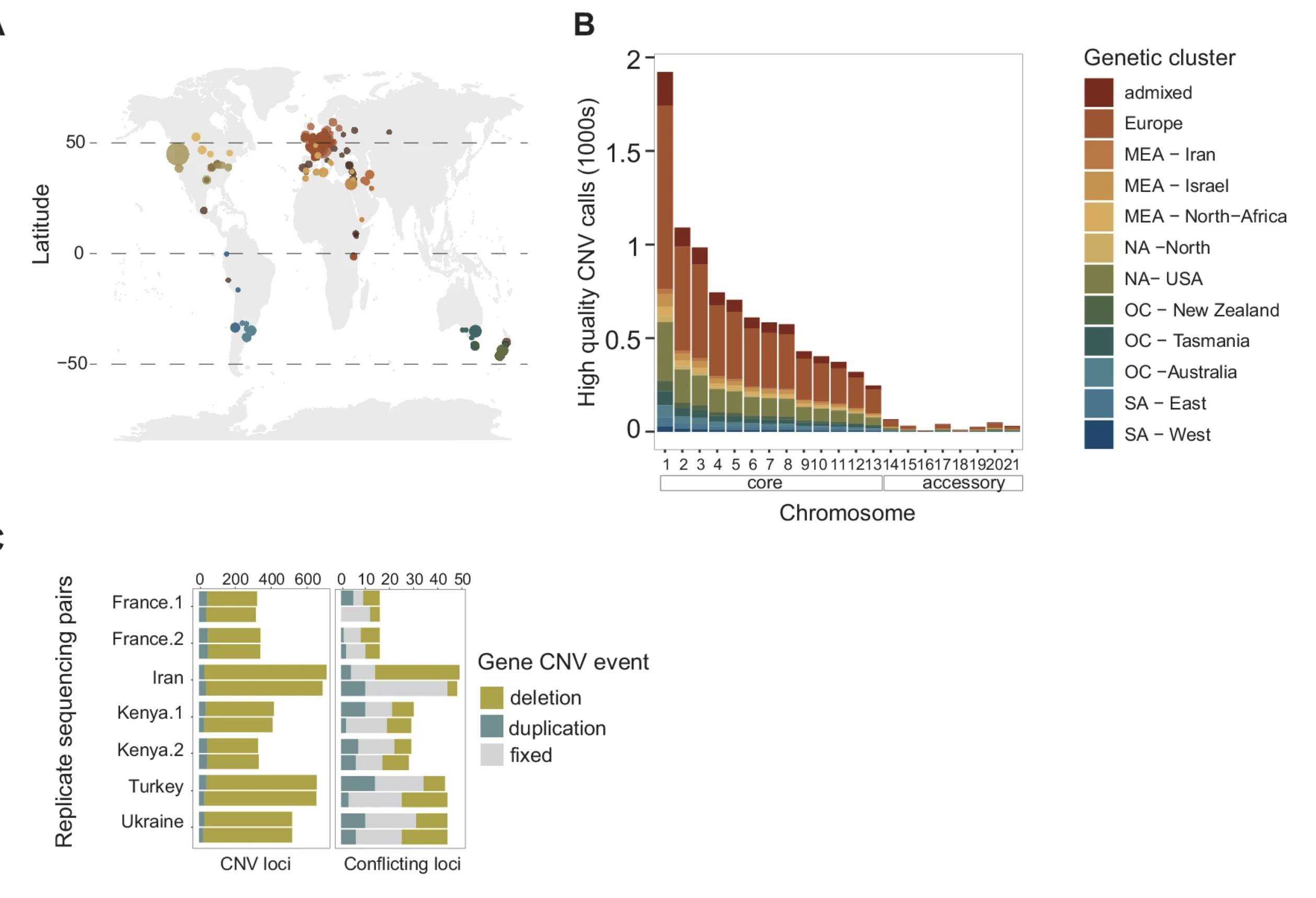 Copy number variation introduced by a massive mobile element facilitates global thermal adaptation in a fungal wheat pathogen