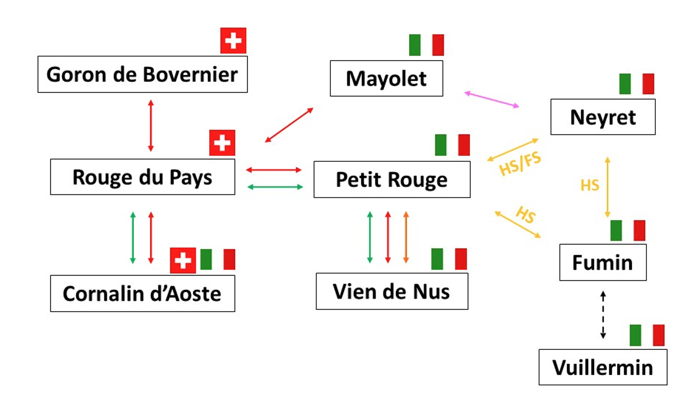 A divergent haplotype with a large deletion at the berry color locus causes a white-skinned phenotype in grapevine